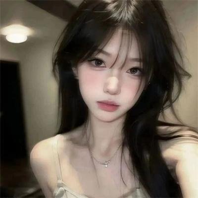 阿妮塔与加里波第